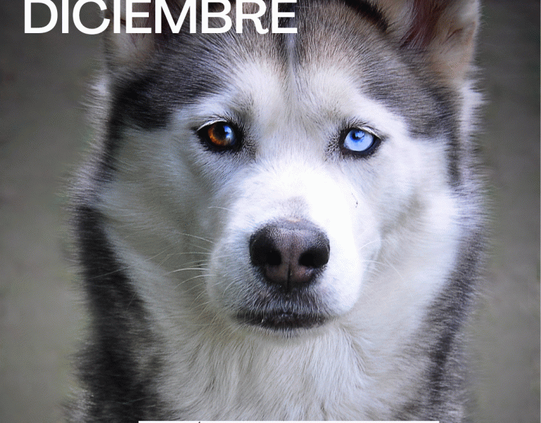 Nueva franquicia de INTERZOO: Don Benito